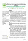 Research paper thumbnail of Anatomía comparada y análisis morfométrico en especies de Polystichum (Dryopteridaceae) del sur de Sudamérica