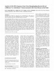 Research paper thumbnail of Analysis of 16S rDNA Sequences from Citrus Huanglongbing Bacteria Reveal a Different “Ca. Liberibacter” Strain Associated with Citrus Disease in São Paulo