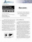 Research paper thumbnail of Raccoons: Wildlife Damage Management Series