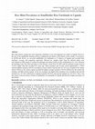 Research paper thumbnail of Rice Blast Prevalence in Smallholder Rice Farmlands in Uganda