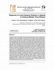 Research paper thumbnail of Response of Local Cassava Varieties in Uganda to Cassava Mosaic Virus Disease