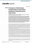 Research paper thumbnail of Emergence of phenotypic and genotypic antimicrobial resistance in Mycobacterium tuberculosis