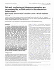 Research paper thumbnail of Cell-wall synthesis and ribosome maturation are co-regulated by an RNA switch in Mycobacterium tuberculosis