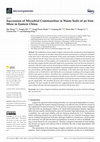 Research paper thumbnail of Succession of Microbial Communities in Waste Soils of an Iron Mine in Eastern China