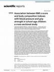 Research paper thumbnail of Association between BMI z-score and body composition indexes with blood pressure and grip strength in school-age children: a cross-sectional study