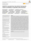 Research paper thumbnail of ADAMTS19 ‐associated heart valve defects: Novel genetic variants consolidating a recognizable cardiac phenotype