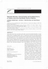 Research paper thumbnail of Molecular Detection, Characterisation and Serological Survey of Chicken Astrovirus from Broiler Flocks in Malaysia