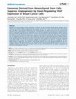 Research paper thumbnail of Exosomes Derived from Mesenchymal Stem Cells Suppress Angiogenesis by Down-Regulating VEGF Expression in Breast Cancer Cells