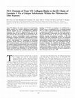 Research paper thumbnail of NC1 Domain of Type VII Collagen Binds to the β3 Chain of Laminin 5 Via a Unique Subdomain Within the Fibronectin-Like Repeats