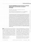 Research paper thumbnail of Persistent ERK/MAPK Activation Promotes Lactotrope Differentiation and Diminishes Tumorigenic Phenotype