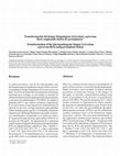 Research paper thumbnail of Transformación del hongo fitopatógeno Sclerotium cepivorum Berk empleando fusión de protoplastos