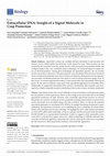 Research paper thumbnail of Extracellular DNA: Insight of a Signal Molecule in Crop Protection