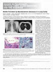 Research paper thumbnail of Biofilm Formation by Mycobacterium abscessus in a Lung Cavity