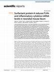 Research paper thumbnail of Surfactant protein A reduces TLR4 and inflammatory cytokine mRNA levels in neonatal mouse ileum