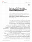 Research paper thumbnail of Editorial: ACTH Action in the Adrenal Cortex: From Molecular Biology to Pathophysiology