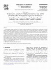 Research paper thumbnail of Isoprostanes, a marker of lipid peroxidation, may not be involved in the development of glucose intolerance