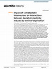 Research paper thumbnail of Impact of somatostatin interneurons on interactions between barrels in plasticity induced by whisker deprivation