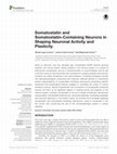 Research paper thumbnail of Somatostatin and Somatostatin-Containing Neurons in Shaping Neuronal Activity and Plasticity