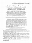 Research paper thumbnail of Vesicular glutamate transporters VGLUT1 and VGLUT2 in development of mouse barrel cortex