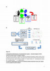 Research paper thumbnail of Glutamate, GABA, and Presynaptic Markers Involved in Neurotransmission Are Differently Affected by Age in Distinct Mouse Brain Regions