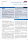 Research paper thumbnail of A Topographical Study of Nutrient Foramen in Human Fibulae