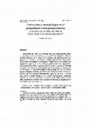 Research paper thumbnail of Univocism and Monadology in Post-Avicennan Iranian Philosophy: Mullā Ṣadrā Šīrāzī and the Philosophical Development of Ibn al-'Arabī's Gnosis (Spanish) [2001] / Scholarly Article