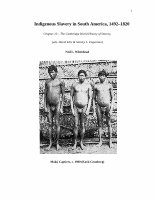 Research paper thumbnail of Indigenous Slavery in South America, 1492–1820