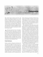 Research paper thumbnail of AMAZONIA