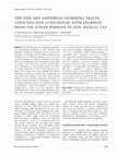 Research paper thumbnail of The fish and amphibian swimming traces Undichna and Lunichnium, with examples from the Lower Permian of New Mexico, USA