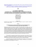 Research paper thumbnail of LA CUENCA MIRADOR: AVANCES DE LA INVESTIGACIÓN Y CONSERVACIÓN DEL ESTADO KAN EN LOS PERIODOS PRECLÁSICO Y CLÁSICO