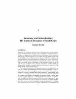 Research paper thumbnail of Autonomy and Subordination: The Cultural Dynamics of Small Cities