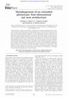 Research paper thumbnail of Morphogenesis of an extended phenotype: four-dimensional ant nest architecture