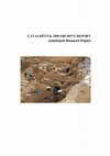 Research paper thumbnail of A Preliminary Analysis of Ground Stone Tools And Vessels From Trench 8, West Mound Çatalhöyük