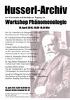 Research paper thumbnail of Der phänomenologische Zwischenraum 