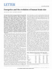 Research paper thumbnail of Energetics and the evolution of human brain size