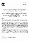 Research paper thumbnail of Origin and emplacement of Tertiary ultramafic complexes in northwest Colombia: Evidence from geochemistry and K-Ar, Sm-Nd and Rb-Sr isotopes