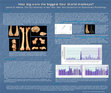 Research paper thumbnail of How big were the biggest New World monkeys? - AAPA 2011