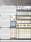 Research paper thumbnail of Investigating the relationship between endocranial volume and cranial shape in Alouatta - AAPA 2013
