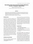 Research paper thumbnail of JSW Description Larva of Ceraclea lobulata from Korea 2006