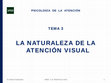 Research paper thumbnail of Psicología de la Atención. La naturaleza de la atención visual