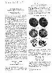 Research paper thumbnail of Four remarkable Iranian civic copper coins