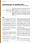 Research paper thumbnail of An Ultrasonographic and Histological Study of Intraneural Injection and Electrical Stimulation in Pigs