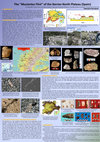 Research paper thumbnail of The "Mucientes Flint" of the Iberian North Plateau (Spain)