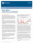 Research paper thumbnail of Spam Spikes: A Real Risk to Your Business