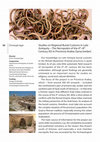 Research paper thumbnail of Project  "Studies on Regional burial customs in Late Antiquity - the necropoleis of the 4th-8th century AD in Provincia Arabia