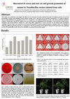 Research paper thumbnail of Biocontrol of crown and root rot and growth promotion of tomato by Paenibacillus strains isolated from soils