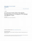 Research paper thumbnail of A Comparative Study of Maya Hieroglyphic Writing and Japanese Orthography in Quiriguá Hieroglyphic Corpus