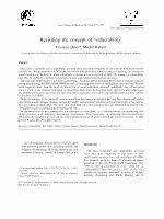 Research paper thumbnail of Revisiting the Concept of [] Vulnerability'