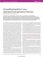 Research paper thumbnail of Unravelling Hepatitis C Virus Replication From Genome to Function