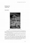 Research paper thumbnail of Fleeting Lives - A Photo Essay